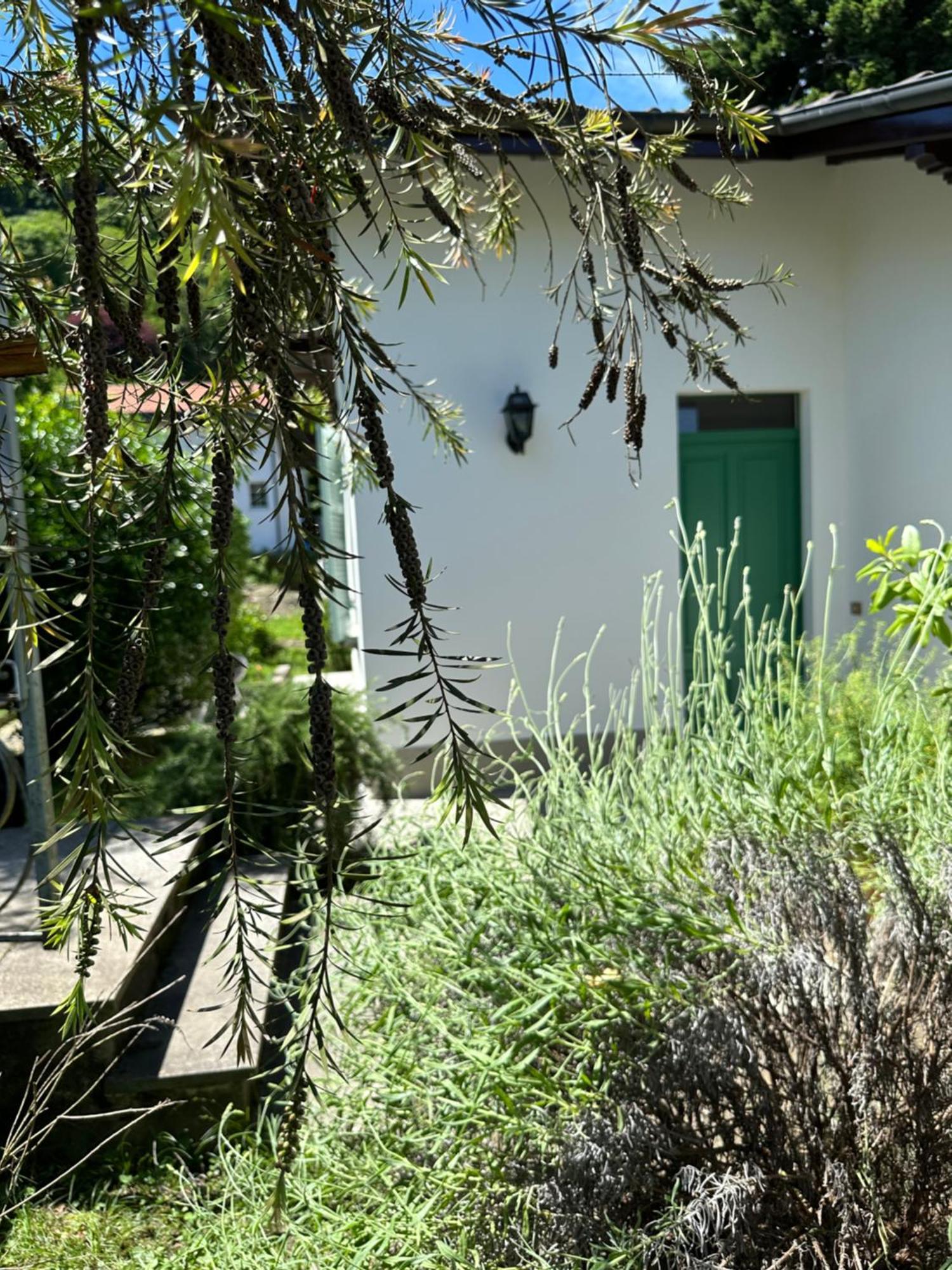Casa Del Custode: Renovated Flat With Garden In A Villa Near The Lake Stresa Kültér fotó